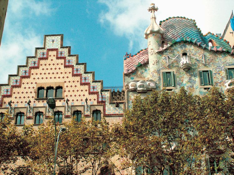 náhled